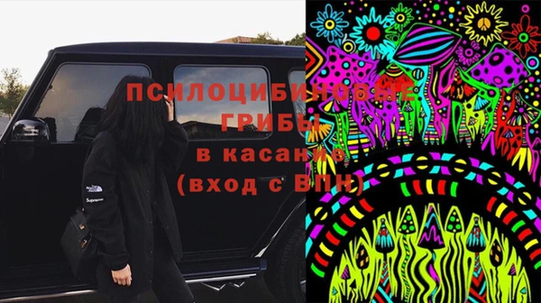 дживик Бородино