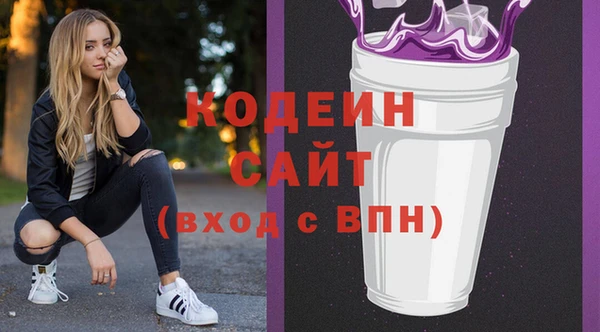 дживик Бородино