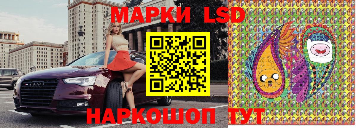 НБОМе Выборг