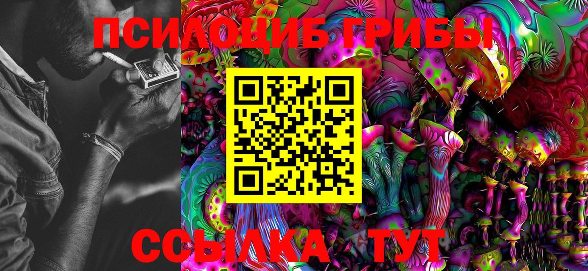 Псилоцибиновые грибы Magic Shrooms Выборг