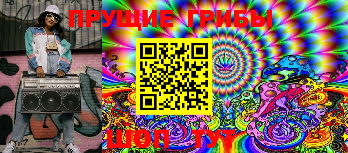 купить  цена  Вход с VPN  Выборг  Галлюциногенные грибы Cubensis 